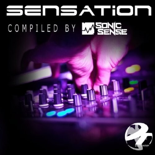 Sensation etic sonic sense - sonic,