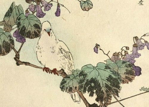 Fleurs oiseaux estampe - fleurs, d'oiseaux