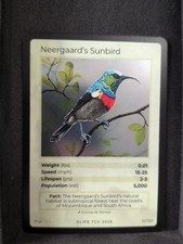 Life Tcg Birds : Neergaard's