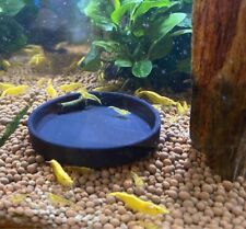 Coupelle de nourrissage crevettes et écrevisses