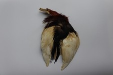 Matériel complet de pêche à