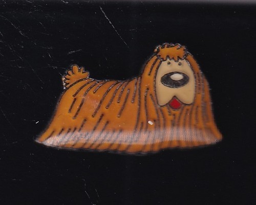 Rare pins pin bd - pins, pin's