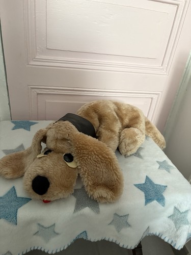 Chien peluche style - chien,