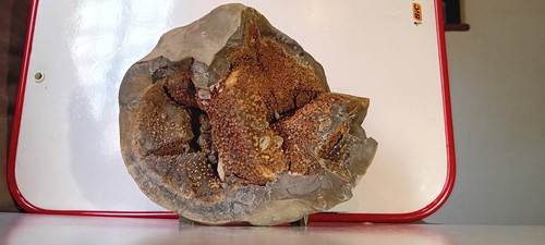 Minéraux septaria quartz - minéraux,