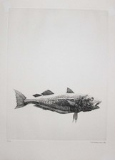 Erik DESMAZIERES - Poisson