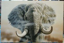 animal éléphant tableau