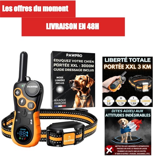 Collier dressage pawpro - de,