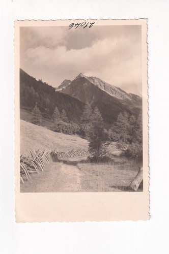 D5394 carte postale rappler - d5394),