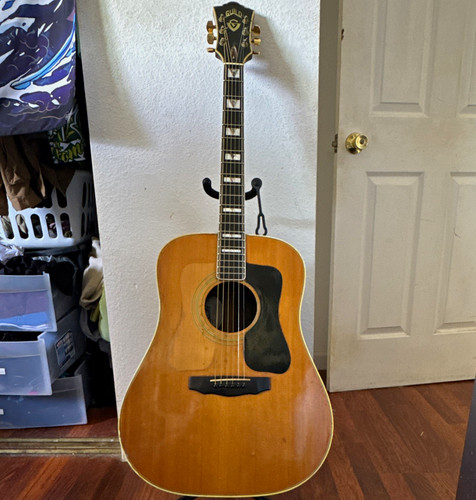 Guild 55nt 1980 - 1980, rhode