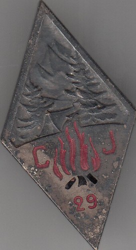 France insigne militaire - france,