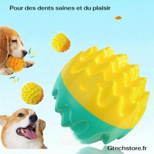 Balle jouet pour chien et chat
