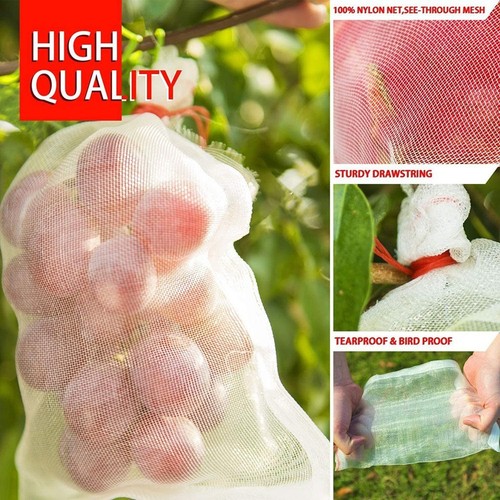 Sacs filet fruit agriculture - filet,