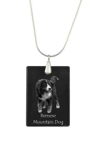 Berner bernois dürrbächler - berner, bernois,