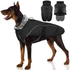 Manteau pour Chien