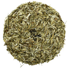 Chicorée Feuilles Et Tiges