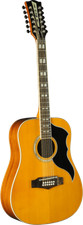 GUITARE ELECTRO ACOUS. 12