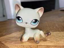 Littlest PetShop LPS shorthair
