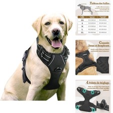 rabbitgoo Harnais Chien Anti