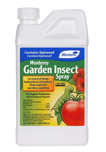 Monterey garden insect spray - garden,