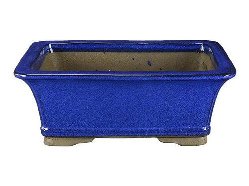 Pot bonsaï rectangulaire - à,
