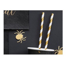 10 PAILLES CARTON RAYÉES