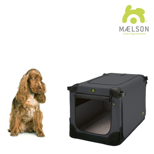 Maelson doux chenil - maelson, de