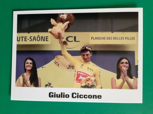 Cyclisme carte cycliste giulio - cycliste,
