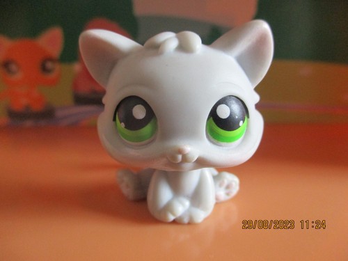 Petshop chaton avec - petshop,