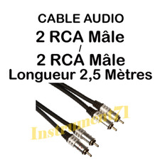 Câble 2 RCA Mâle vers 2 RCA