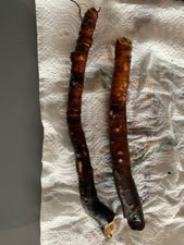 4 Racines de Consoude BOCKING 14 + notice de plantation