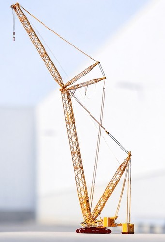 Imc models grue aux couleurs - imc,
