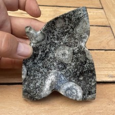 Corse diorite orbiculaire - -,