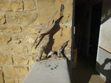 2 Sculpture bois flotté forme d' oiseau