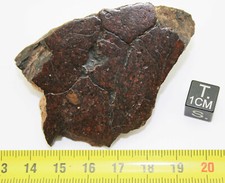 Talon de Météorite NWA 13376 chondrite LL3 - S4 - W3 ( 73.45 grammes - 009 )