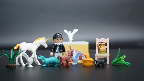 Playmobil accessoires mix