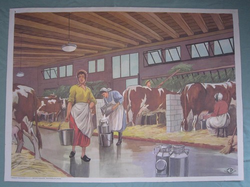 Z144 affiche scolaire ecole - z144,