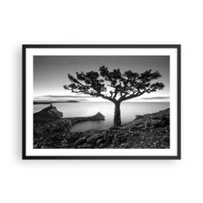 Affiche Poster 70x50cm Tableaux Image Photo Arbre Noir Et Blanc Vue Wall Art