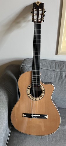 Guitare crossover alhambra cs3 - guitare,