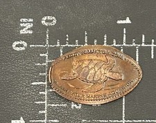 Penny Écrasé Plat Allongé De La Plage Des Tortues De Mer De Clearwater, Floride