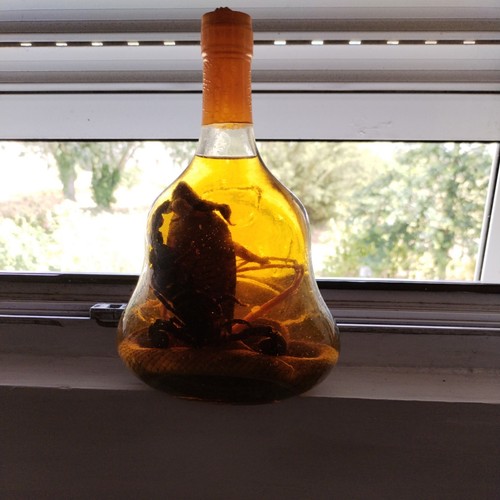 Bouteille alcool cobra - d'alcool, et