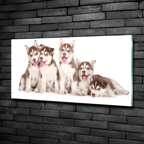 Tulup image sur - image, verre