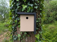 Nichoir à oiseaux de la