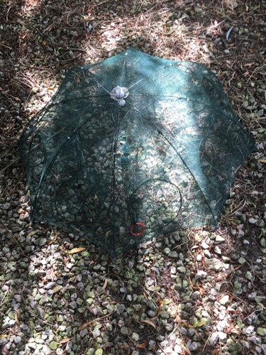 Nasse parapluie pour - nasse,