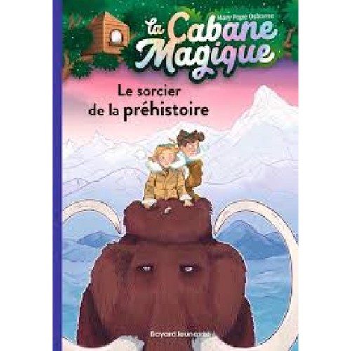 Livre cabane magique - magique,, tome