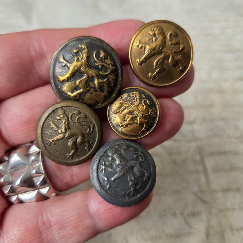 Boutons militaires lion - boutons,