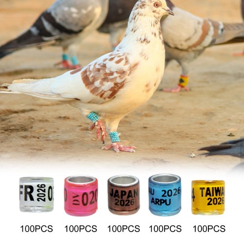 Lot 100 bagues aluminium - bagues,