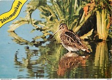 Carte Postale - Animaux -