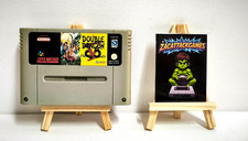 Double Dragon The Shadow Falls