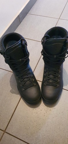 Rangers felin meindel lowa - rangers,