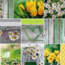 Nappe de Table en Toile Cirée